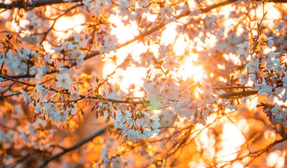 Meet-Coco_Spring-2026_rechts2_MeetCoco