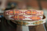 gigi peach orange cerise peach gold - afb. 6